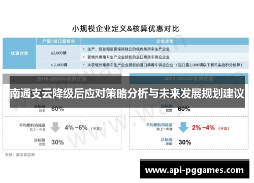 南通支云降级后应对策略分析与未来发展规划建议 南通支云降级后应对策略分析与未来发展规划建议