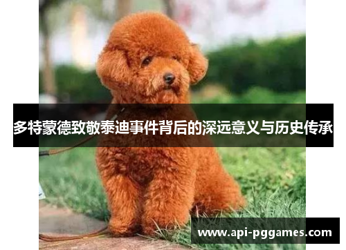 多特蒙德致敬泰迪事件背后的深远意义与历史传承 多特蒙德致敬泰迪事件背后的深远意义与历史传承