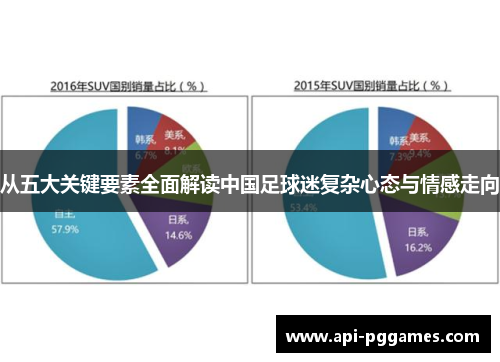 从五大关键要素全面解读中国足球迷复杂心态与情感走向