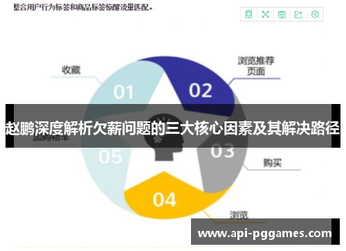 赵鹏深度解析欠薪问题的三大核心因素及其解决路径