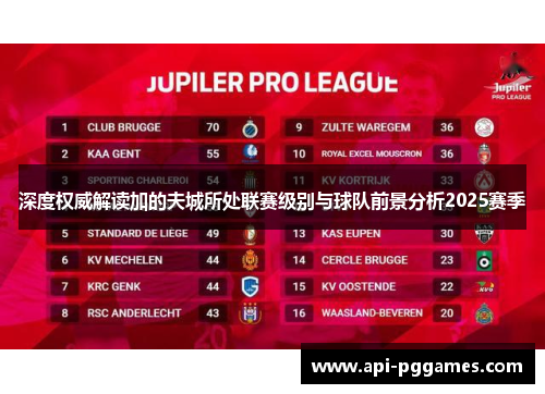 深度权威解读加的夫城所处联赛级别与球队前景分析2025赛季 深度权威解读加的夫城所处联赛级别与球队前景分析2025赛季